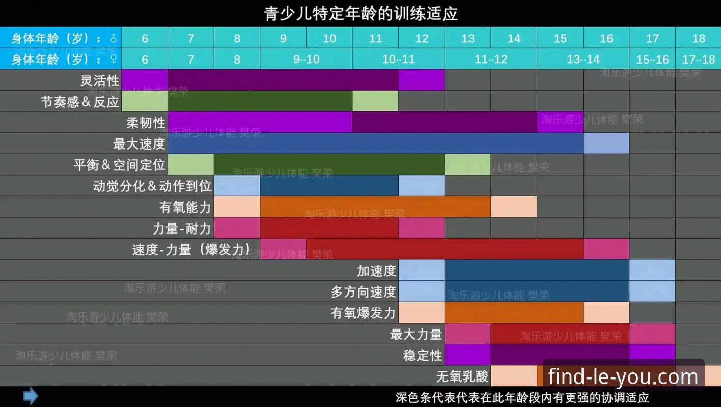 乐游体育平台深度评测：官网首页使用技巧与v3.0.0版本实战体验